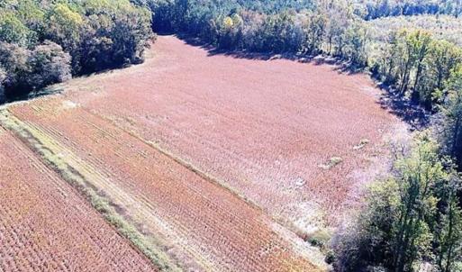 Photo of SOLD!!  44 Acres of Farm and Timber Land For Sale in Pitt County NC!
