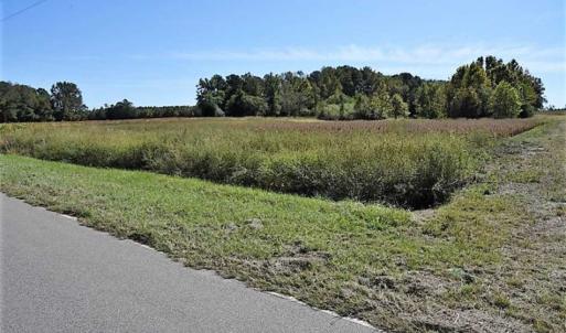 Photo of SOLD!!  44 Acres of Farm and Timber Land For Sale in Pitt County NC!