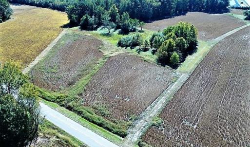 Photo of SOLD!!  44 Acres of Farm and Timber Land For Sale in Pitt County NC!