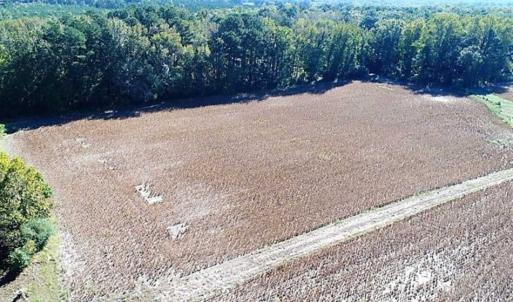Photo of SOLD!!  44 Acres of Farm and Timber Land For Sale in Pitt County NC!