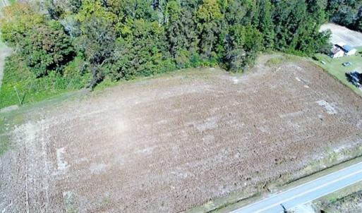 Photo of SOLD!!  36 Acres of Farm and Timber Land For Sale in Edgecombe County NC!