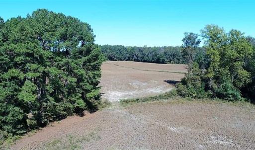 Photo of SOLD!!  36 Acres of Farm and Timber Land For Sale in Edgecombe County NC!