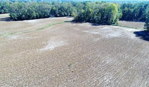 Photo of SOLD!!  36 Acres of Farm and Timber Land For Sale in Edgecombe County NC!