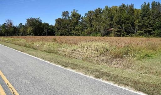 Photo of SOLD!!  36 Acres of Farm and Timber Land For Sale in Edgecombe County NC!
