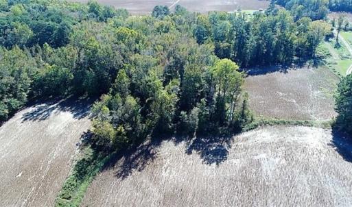 Photo of SOLD!!  36 Acres of Farm and Timber Land For Sale in Edgecombe County NC!