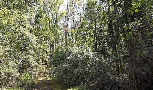 Photo of SOLD!!  36 Acres of Farm and Timber Land For Sale in Edgecombe County NC!