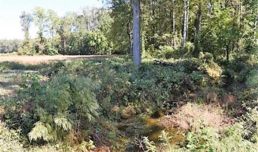 Photo of SOLD!!  36 Acres of Farm and Timber Land For Sale in Edgecombe County NC!