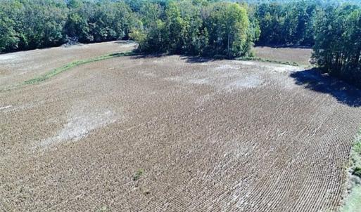 Photo of SOLD!!  36 Acres of Farm and Timber Land For Sale in Edgecombe County NC!
