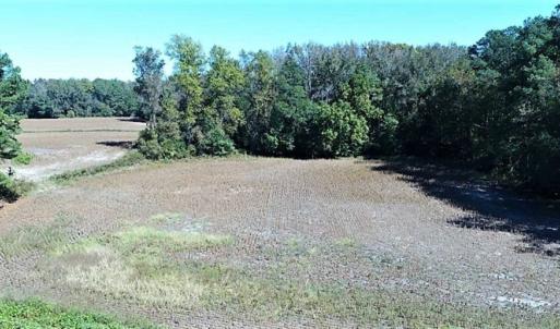 Photo of SOLD!!  36 Acres of Farm and Timber Land For Sale in Edgecombe County NC!