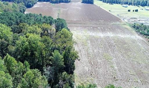 Photo of SOLD!!  36 Acres of Farm and Timber Land For Sale in Edgecombe County NC!