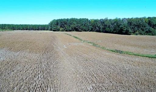 Photo of SOLD!!  36 Acres of Farm and Timber Land For Sale in Edgecombe County NC!
