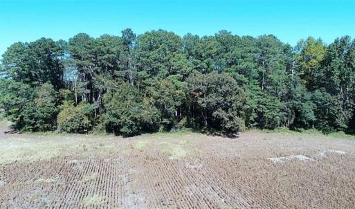 Photo of SOLD!!  36 Acres of Farm and Timber Land For Sale in Edgecombe County NC!