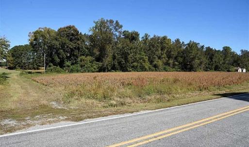 Photo of SOLD!!  36 Acres of Farm and Timber Land For Sale in Edgecombe County NC!