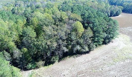Photo of SOLD!!  36 Acres of Farm and Timber Land For Sale in Edgecombe County NC!