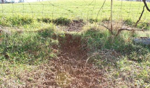Photo of SOLD!!  28.53 Ac of Residential and Recreational Land in Powhatan County VA!