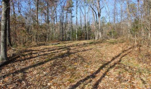 Photo of SOLD!!  28.53 Ac of Residential and Recreational Land in Powhatan County VA!