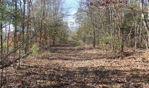 Photo of SOLD!!  28.53 Ac of Residential and Recreational Land in Powhatan County VA!