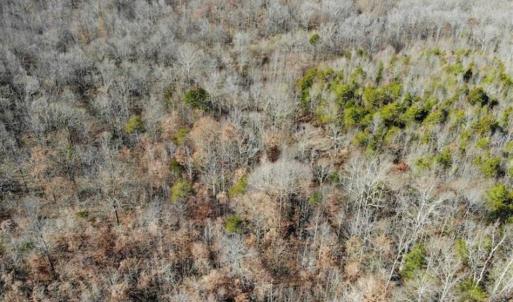 Photo of SOLD!!  28.53 Ac of Residential and Recreational Land in Powhatan County VA!