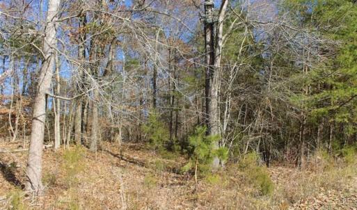 Photo of SOLD!!  28.53 Ac of Residential and Recreational Land in Powhatan County VA!