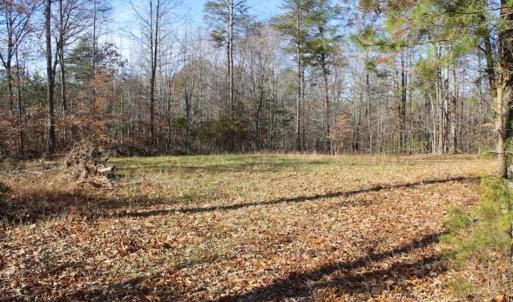 Photo of SOLD!!  28.53 Ac of Residential and Recreational Land in Powhatan County VA!