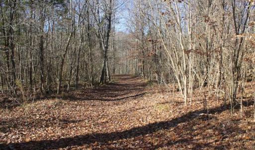 Photo of SOLD!!  28.53 Ac of Residential and Recreational Land in Powhatan County VA!