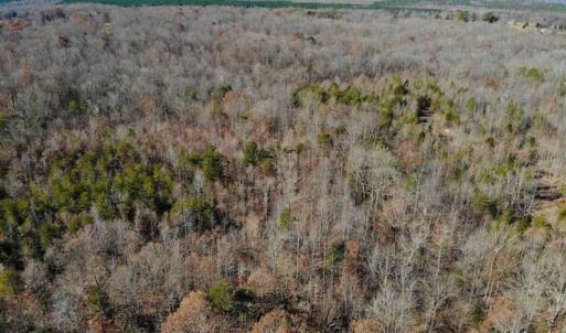 Photo of SOLD!!  28.53 Ac of Residential and Recreational Land in Powhatan County VA!