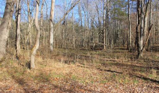 Photo of SOLD!!  28.53 Ac of Residential and Recreational Land in Powhatan County VA!