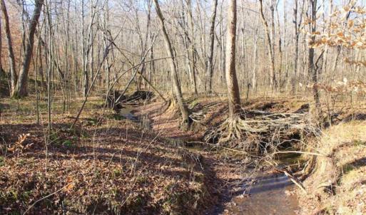 Photo of SOLD!!  28.53 Ac of Residential and Recreational Land in Powhatan County VA!