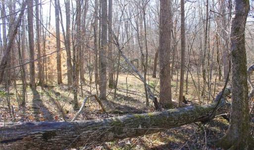 Photo of SOLD!!  28.53 Ac of Residential and Recreational Land in Powhatan County VA!