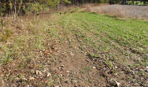 Photo of SOLD!!  28.53 Ac of Residential and Recreational Land in Powhatan County VA!