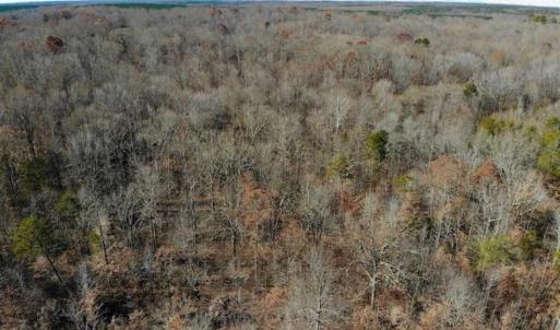 Photo of SOLD!!  28.53 Ac of Residential and Recreational Land in Powhatan County VA!