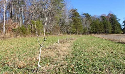 Photo of SOLD!!  28.53 Ac of Residential and Recreational Land in Powhatan County VA!