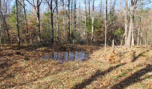 Photo of SOLD!!  28.53 Ac of Residential and Recreational Land in Powhatan County VA!