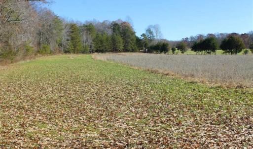 Photo of SOLD!!  28.53 Ac of Residential and Recreational Land in Powhatan County VA!