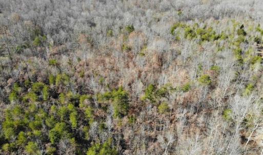 Photo of SOLD!!  28.53 Ac of Residential and Recreational Land in Powhatan County VA!