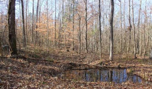 Photo of SOLD!!  28.53 Ac of Residential and Recreational Land in Powhatan County VA!