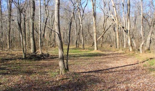 Photo of SOLD!!  28.53 Ac of Residential and Recreational Land in Powhatan County VA!