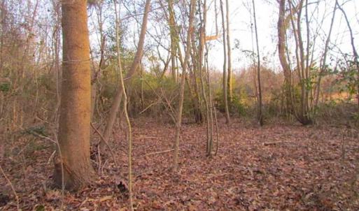 Photo of SOLD!!  3 Acre Residential Building Site For Sale in Suffolk VA!