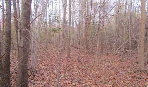 Photo of SOLD!!  3 Acre Residential Building Site For Sale in Suffolk VA!