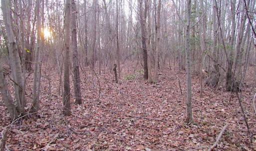 Photo of SOLD!!  3 Acre Residential Building Site For Sale in Suffolk VA!