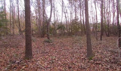 Photo of SOLD!!  3 Acre Residential Building Site For Sale in Suffolk VA!