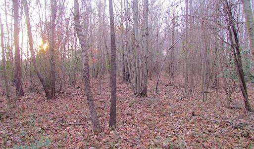 Photo of SOLD!!  3 Acre Residential Building Site For Sale in Suffolk VA!