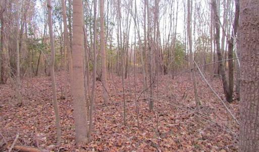 Photo of SOLD!!  3 Acre Residential Building Site For Sale in Suffolk VA!