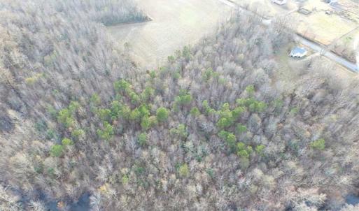 Photo of SOLD!!  3 Acre Residential Building Site For Sale in Suffolk VA!