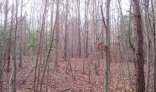 Photo of SOLD!!  3 Acre Residential Building Site For Sale in Suffolk VA!
