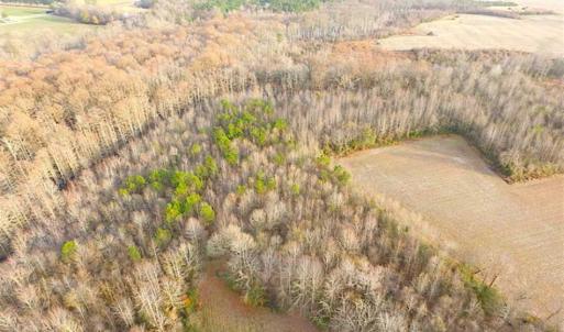 Photo of SOLD!!  3 Acre Residential Building Site For Sale in Suffolk VA!