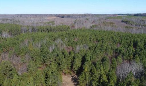 Photo of SOLD!!  63 Acres of Timber and Hunting Land For Sale in Caroline County VA!