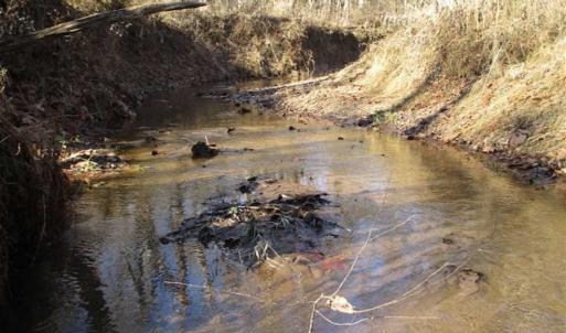 Photo of SOLD!!  63 Acres of Timber and Hunting Land For Sale in Caroline County VA!
