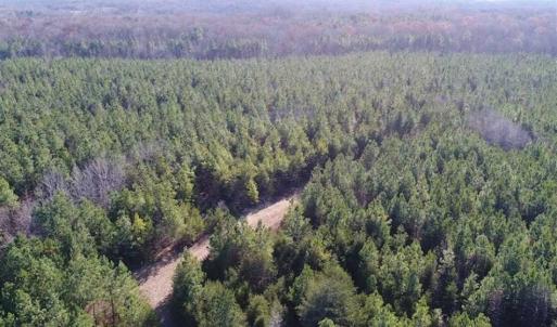Photo of SOLD!!  63 Acres of Timber and Hunting Land For Sale in Caroline County VA!