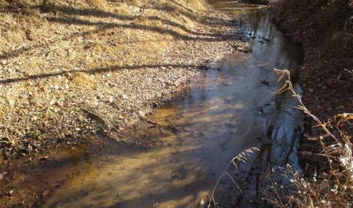 Photo of SOLD!!  63 Acres of Timber and Hunting Land For Sale in Caroline County VA!
